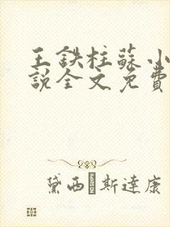 王铁柱苏小汐小说全文免费阅读最新章节