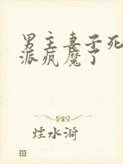 男主妻子死后反派疯魔了