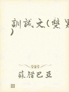 训诫文(双男主)封面