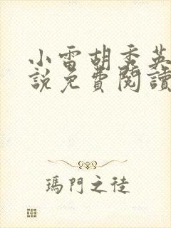 小雷胡秀英的小说免费阅读