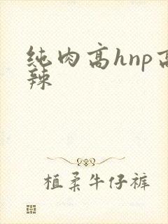 纯肉高hnp高辣封面