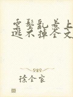 云鬓乱惹上权臣逃不掉全文免费