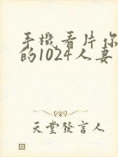 手机看片你懂得的1024人妻封面