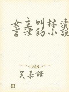 女主叫林清妍宋言津的小说免费阅读