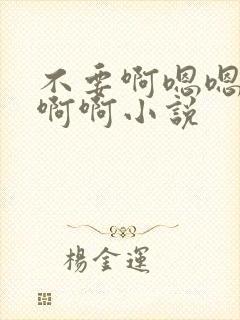 不要啊嗯嗯嗯啊啊啊小说