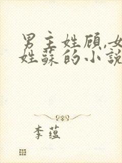 男主姓顾,女主姓苏的小说