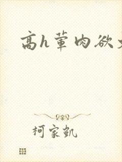 高h荤肉欲文