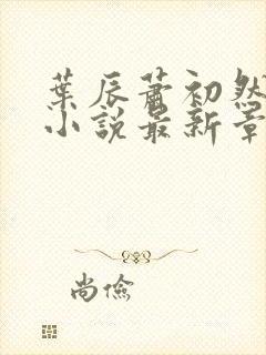 叶辰萧初然结局小说最新章节