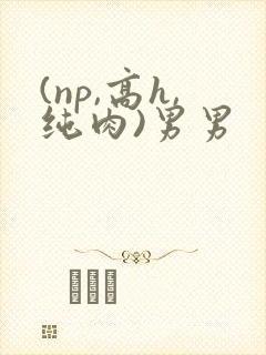 (np,高h,纯肉)男男封面