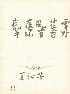 我在风花雪月里等你有番外吗封面