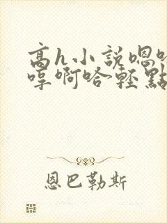 高h小说嗯哈嗯哼啊哈轻点封面