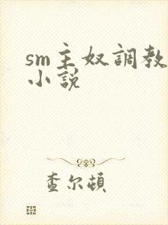 sm主奴调教文小说