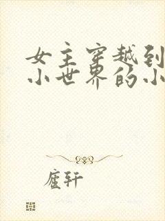 女主穿越到各种小世界的小说