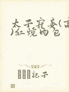 太子宠妾(高肉)红烧肉包