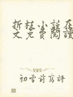 折枝小说在线全文免费阅读无弹窗