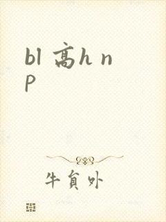 bl 高h np封面