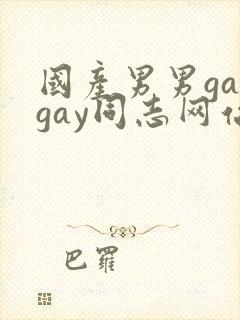 国产男男gaygay同志网站封面