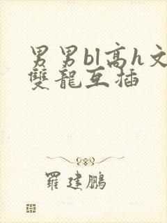 男男bl高h文双龙互插