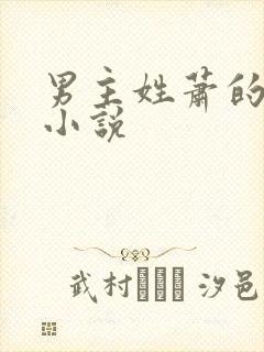 男主姓萧的古言小说