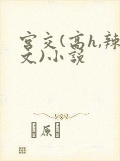 宫交(高h,辣文)小说