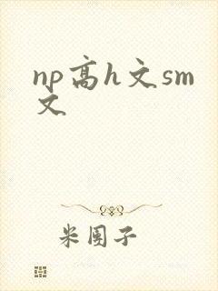 np高h文sm文