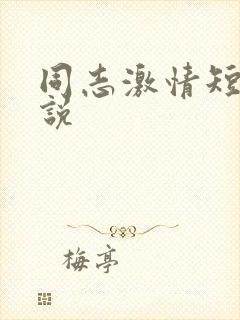 同志激情短篇小说封面
