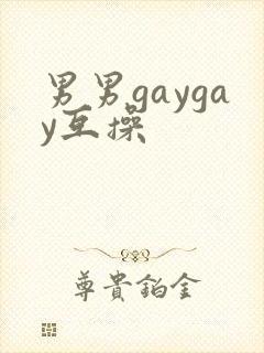 男男gaygay互操
