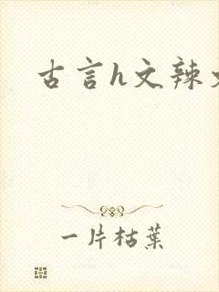 古言h文辣文封面