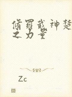 修罗武神楚枫神之力量