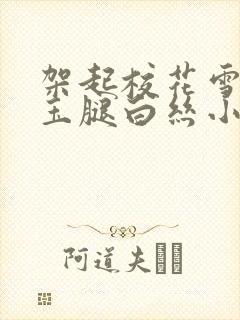 架起校花雪白的玉腿白丝小说