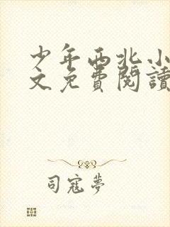 少年西北小说全文免费阅读无弹窗