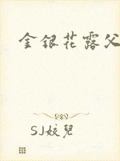 金银花露父欲封面