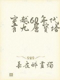 穿越60年代我有九层宝塔空间的小说封面