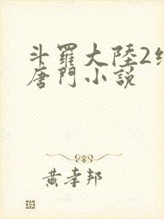 斗罗大陆2绝世唐门小说