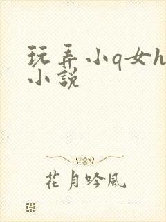 玩弄小q女h文小说封面