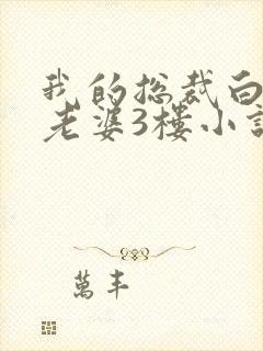 我的总裁白富美老婆3楼小说目录