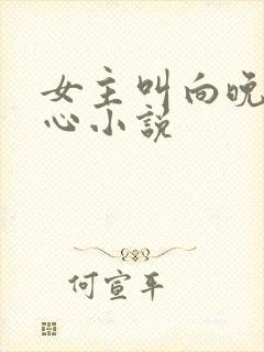 女主叫向晚的虐心小说