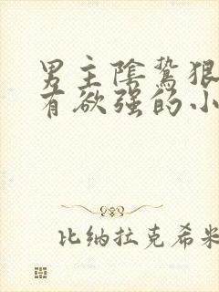 男主阴鸷狠戾占有欲强的小说