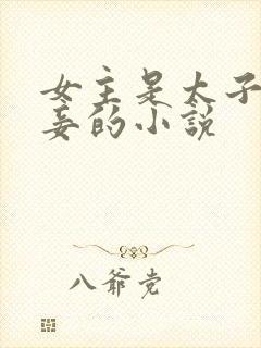 女主是太子的侍妾的小说封面