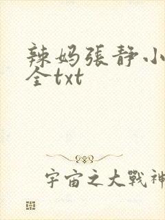 辣妈张静小说大全txt