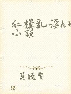 红楼乱淫h肉版小说