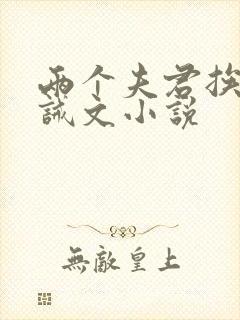 两个夫君挨打训诫文小说