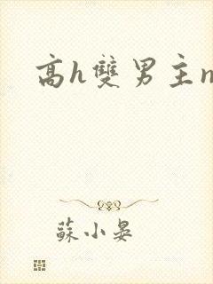 高h双男主np封面