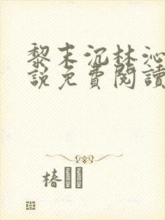 黎末沉林沁染小说免费阅读最新章节