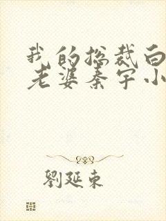 我的总裁白富美老婆秦宇小说正版