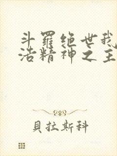 斗罗绝世我霍雨浩精神之主笔趣阁