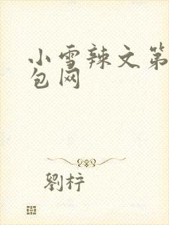 小雪辣文第二书包网封面