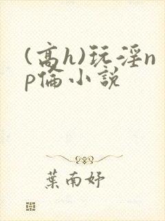 (高h)玩淫np伦小说