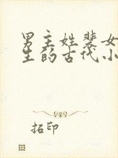 男主姓裴女主重生的古代小说封面