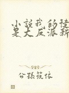 小说我的徒弟都是大反派新章节列表